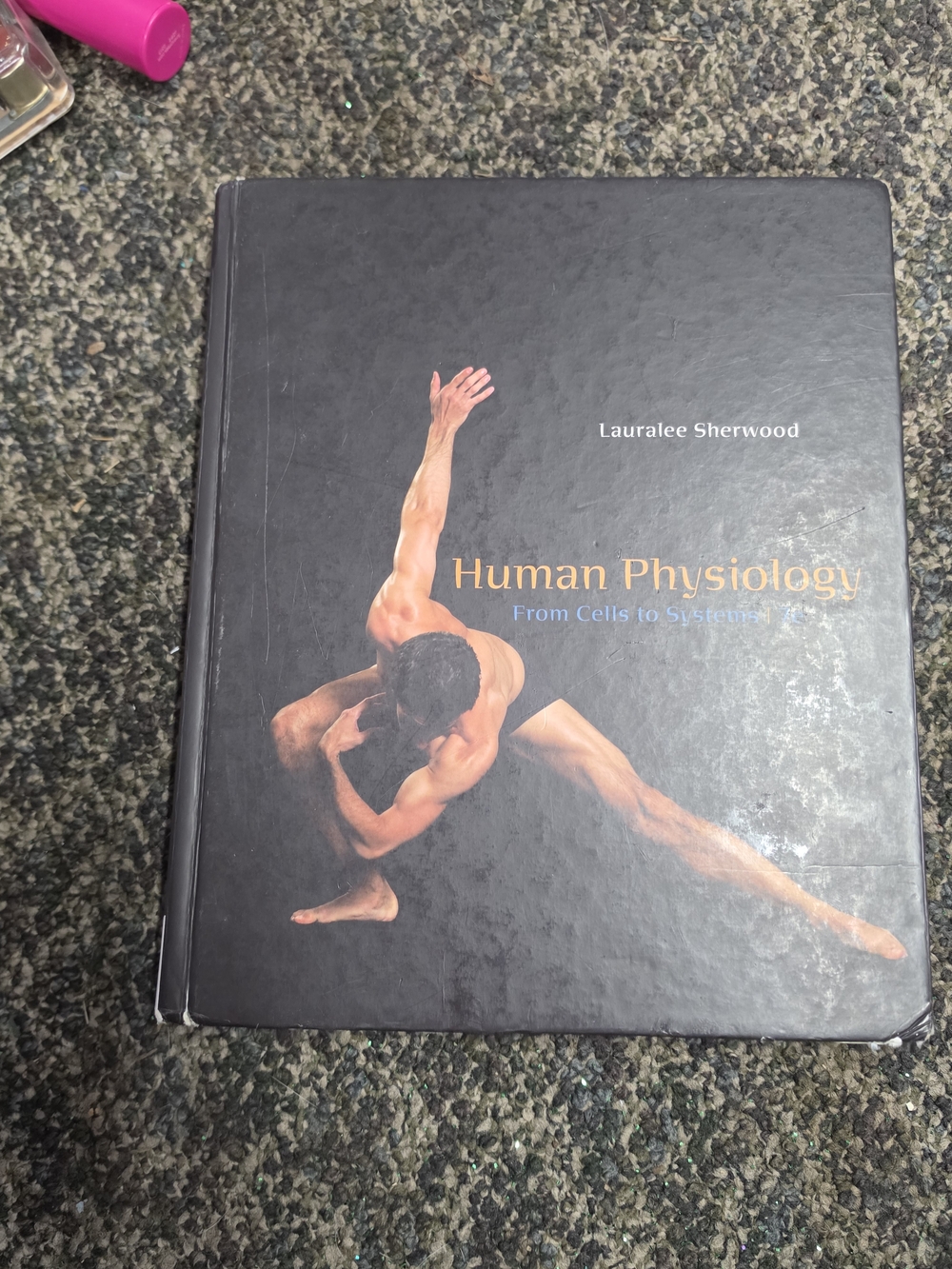 Human Physiology From Cells to Systems 7th Edition